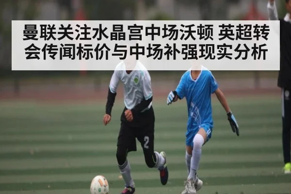 曼联关注水晶宫中场沃顿 英超转会传闻标价与中场补强现实分析
